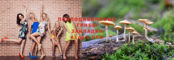 мдпв Куйбышев