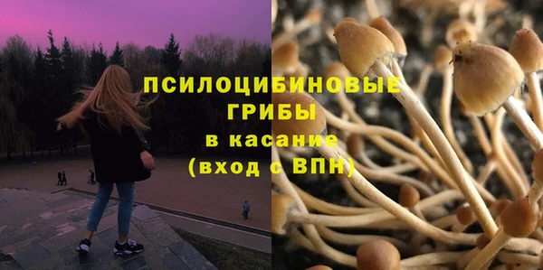 тгк Кулебаки