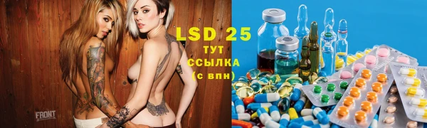 мдпв Кукмор